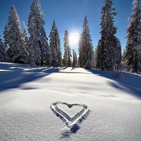 Apartman Larisa Kopaonik Exteriör bild